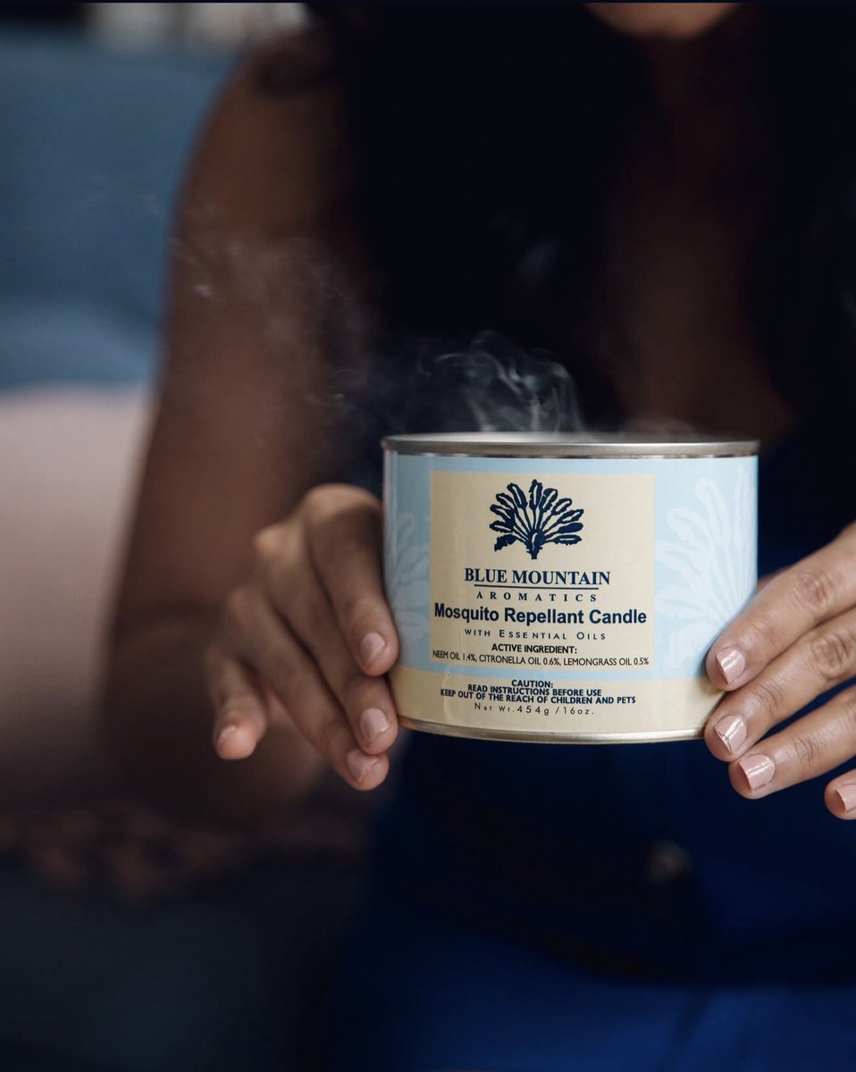 Shore Thing tweet media