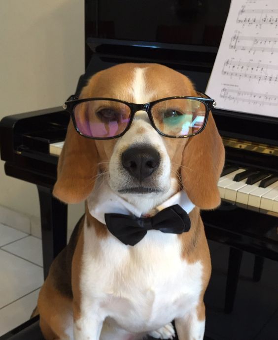 Rodny Blake Lyu tweet media