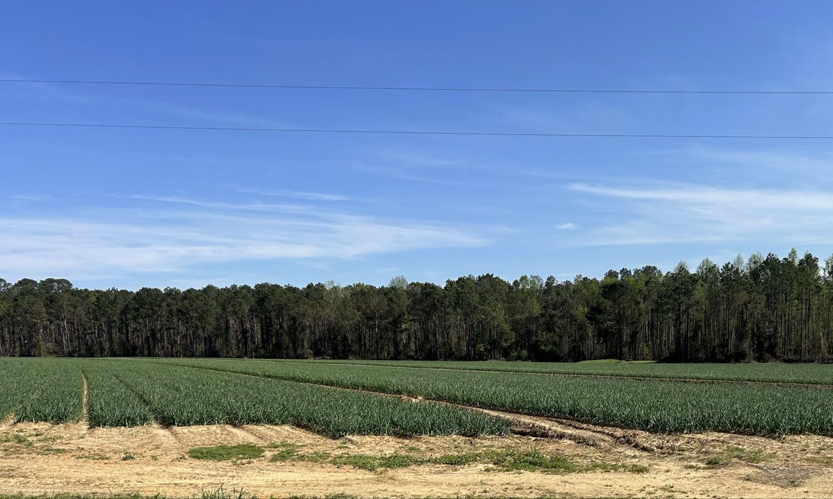 The Orchard Keeper tweet media