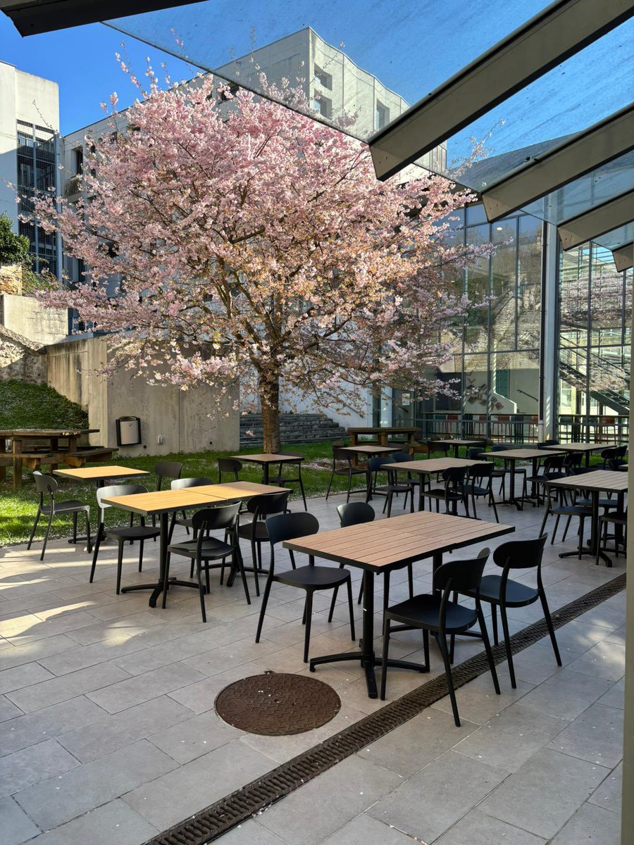 Lycée Jeanne d'Arc Rouen tweet media