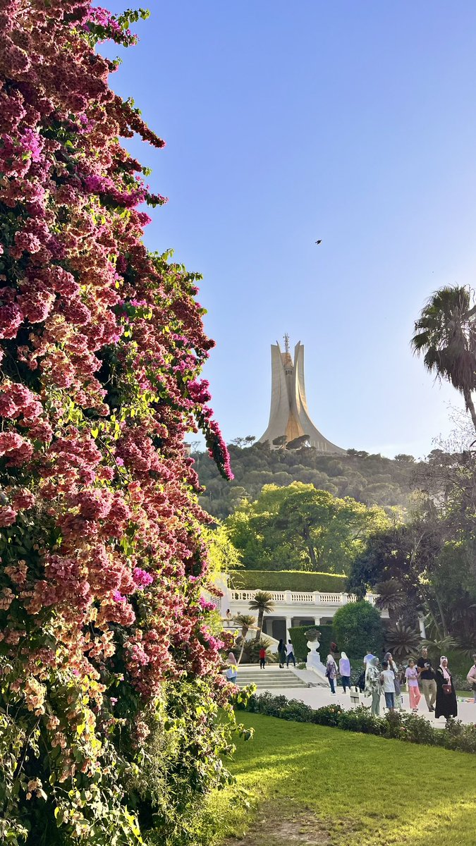 إسراء tweet media