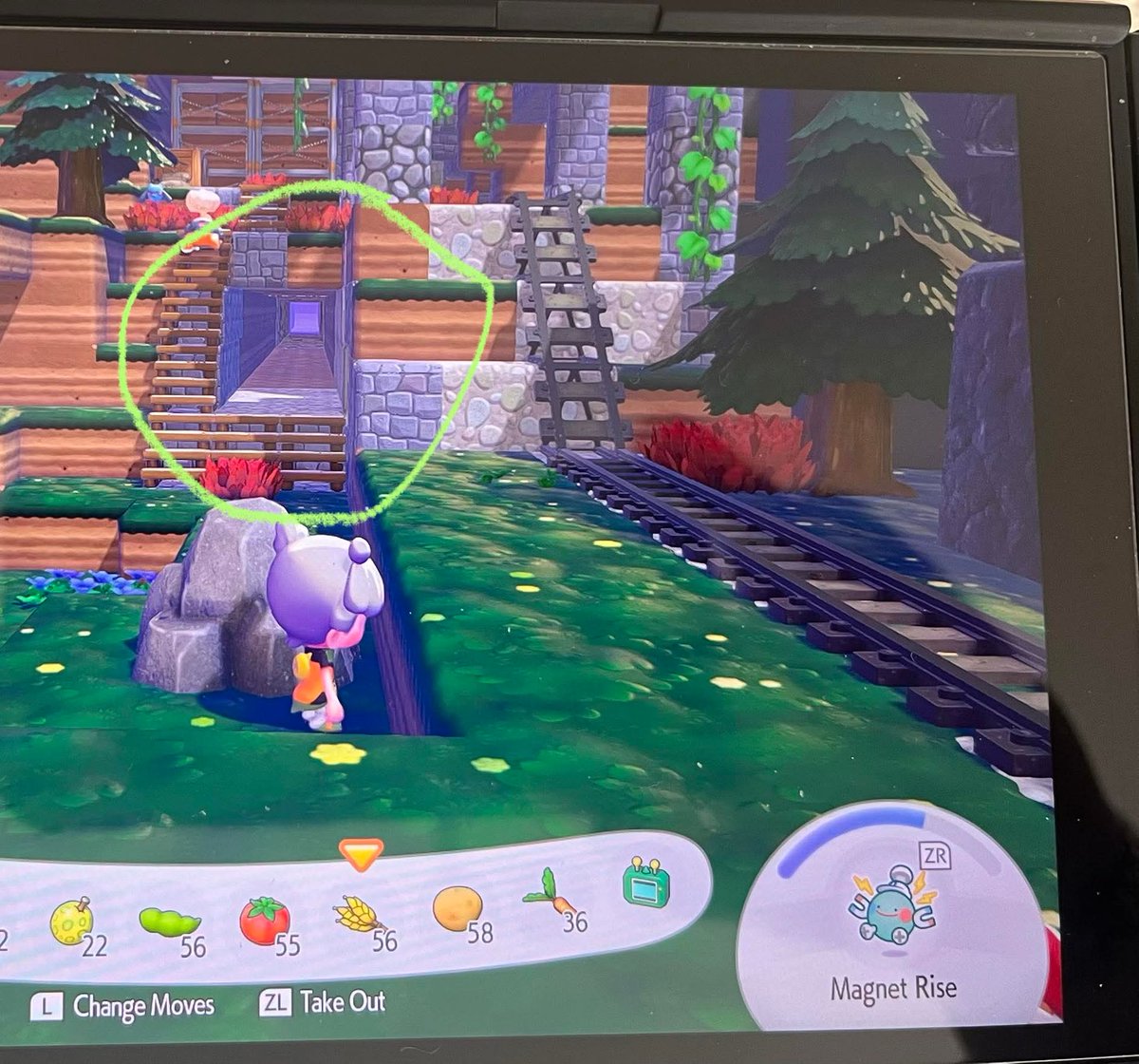 Wildlight 🐾👑🐾 paw princess 🐾👑🐾 tweet media