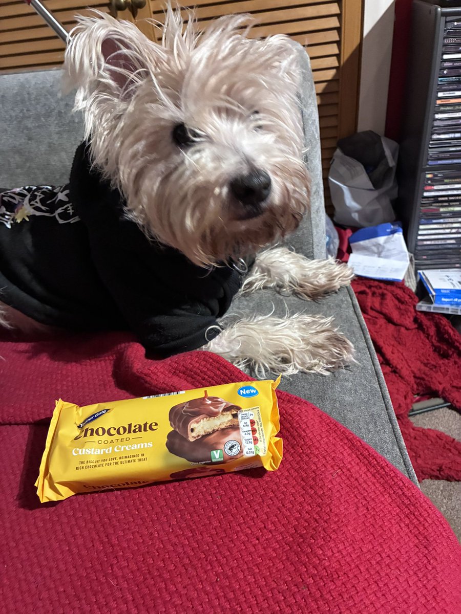 Neale and Fergus the Westie!! tweet media