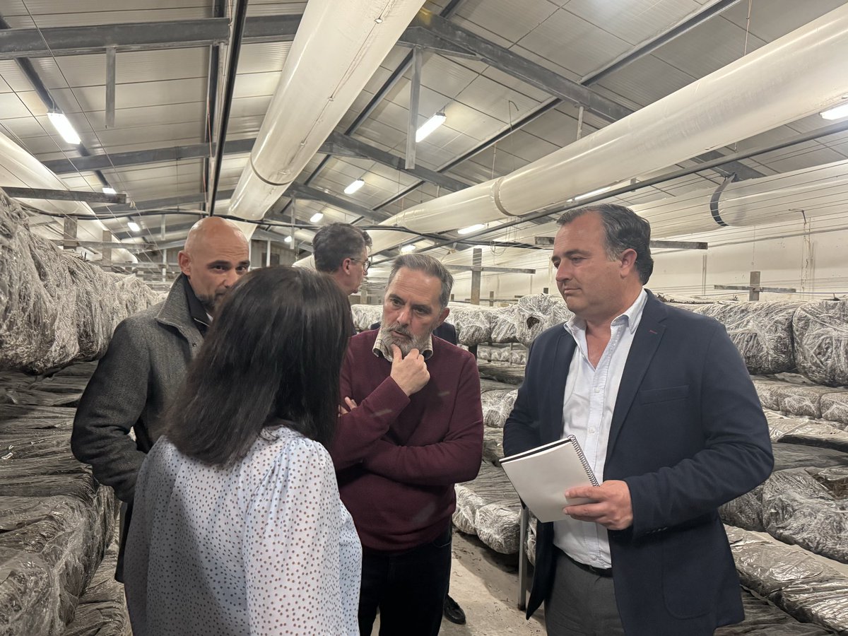 David Moreno Ramos tweet media