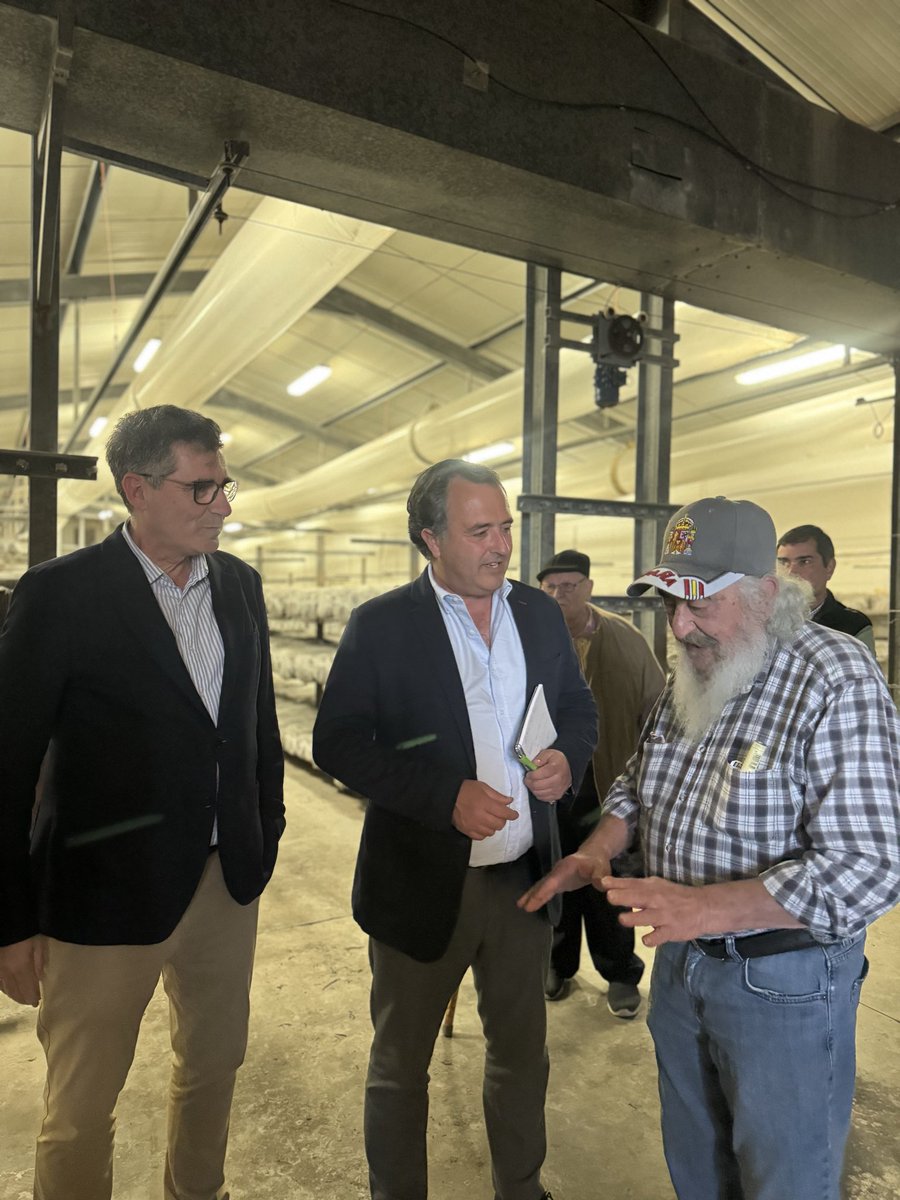 David Moreno Ramos tweet media