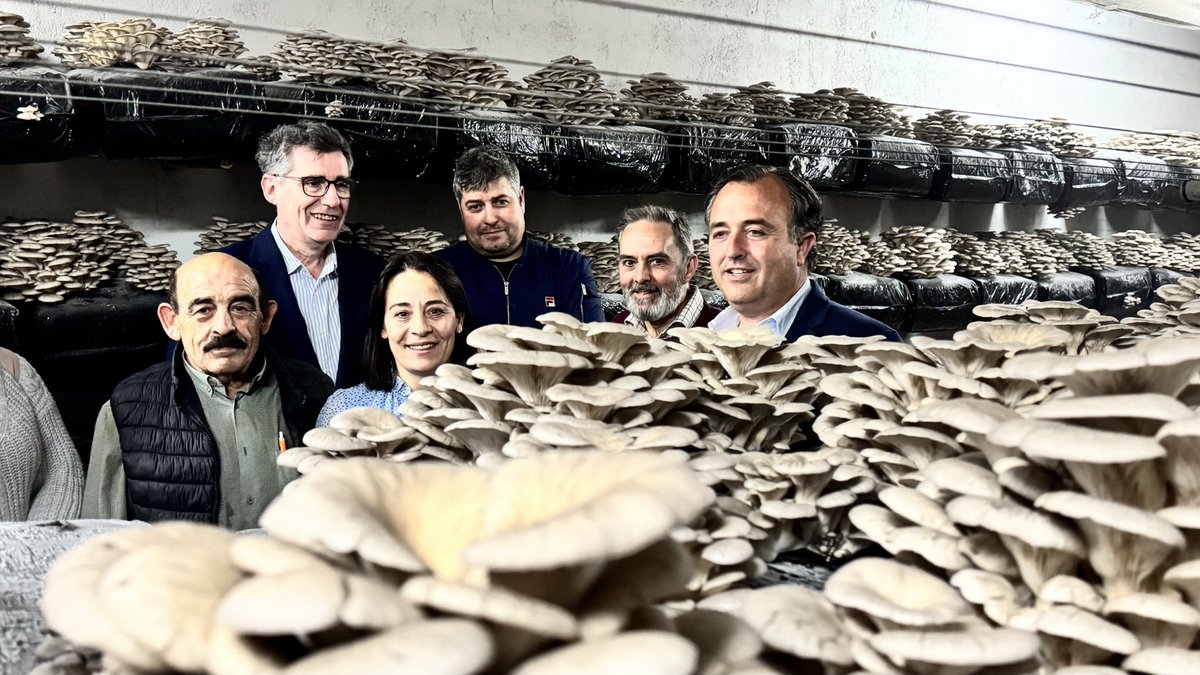 David Moreno Ramos tweet media