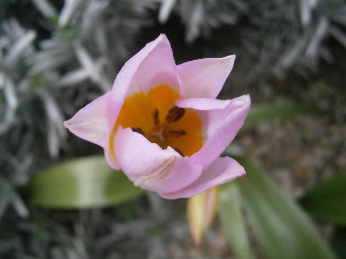 🥷Ninja boy🥷 🍃💚🍃 tweet media