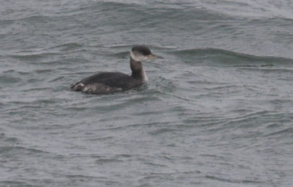 Rich Andrews tweet media