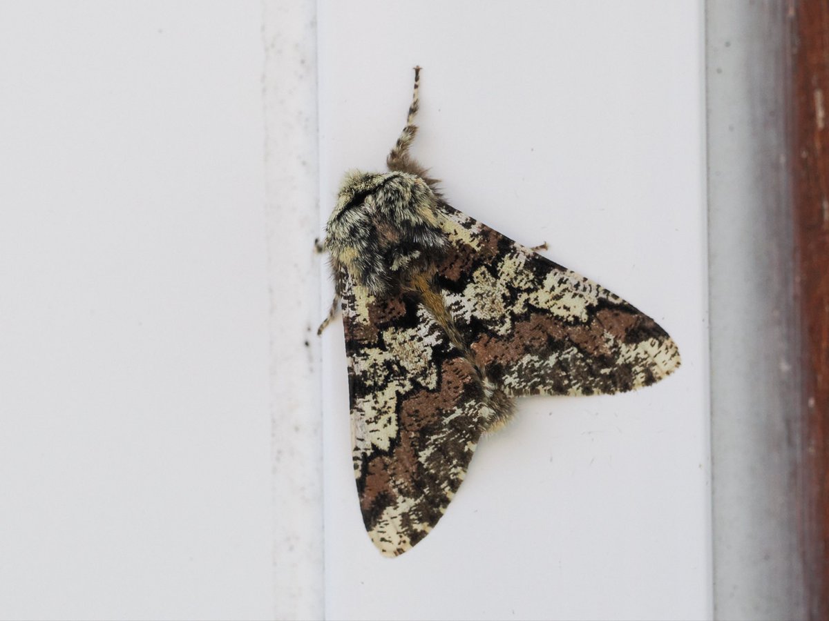 Deena Sharp tweet media