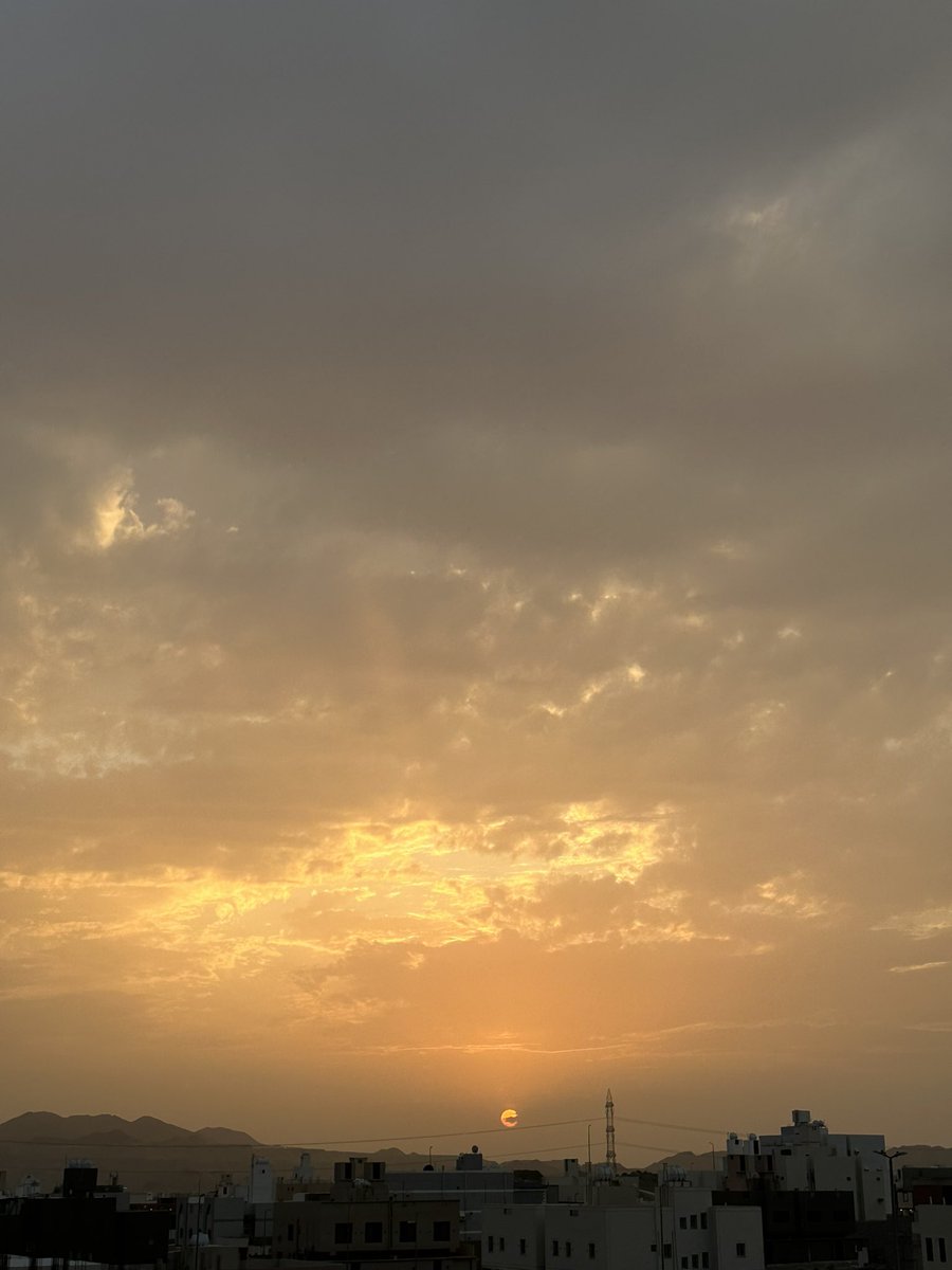 ريم الحربي Reem tweet media