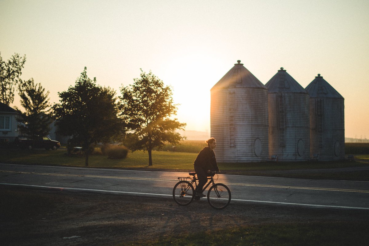 Canadá en México tweet media