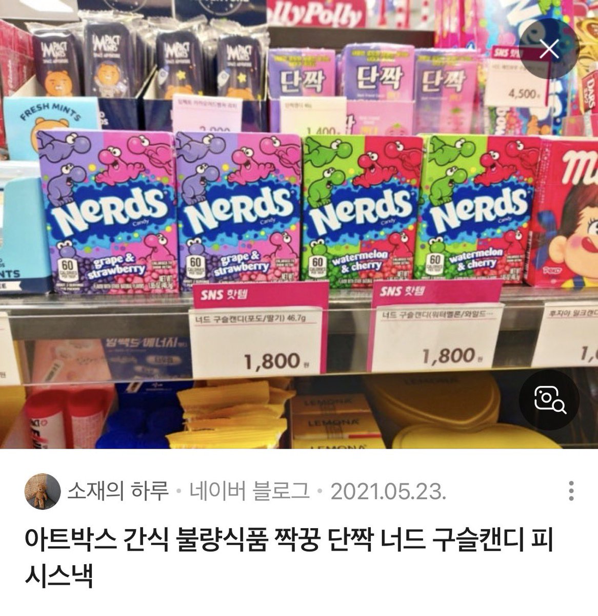 쿵님! tweet media