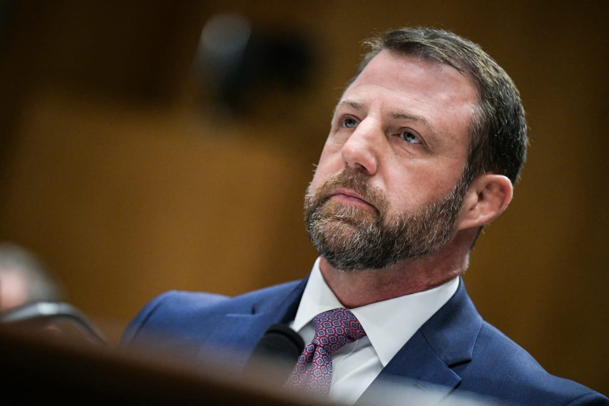 Lovable Liberal and his Old English sheepdog tweet media