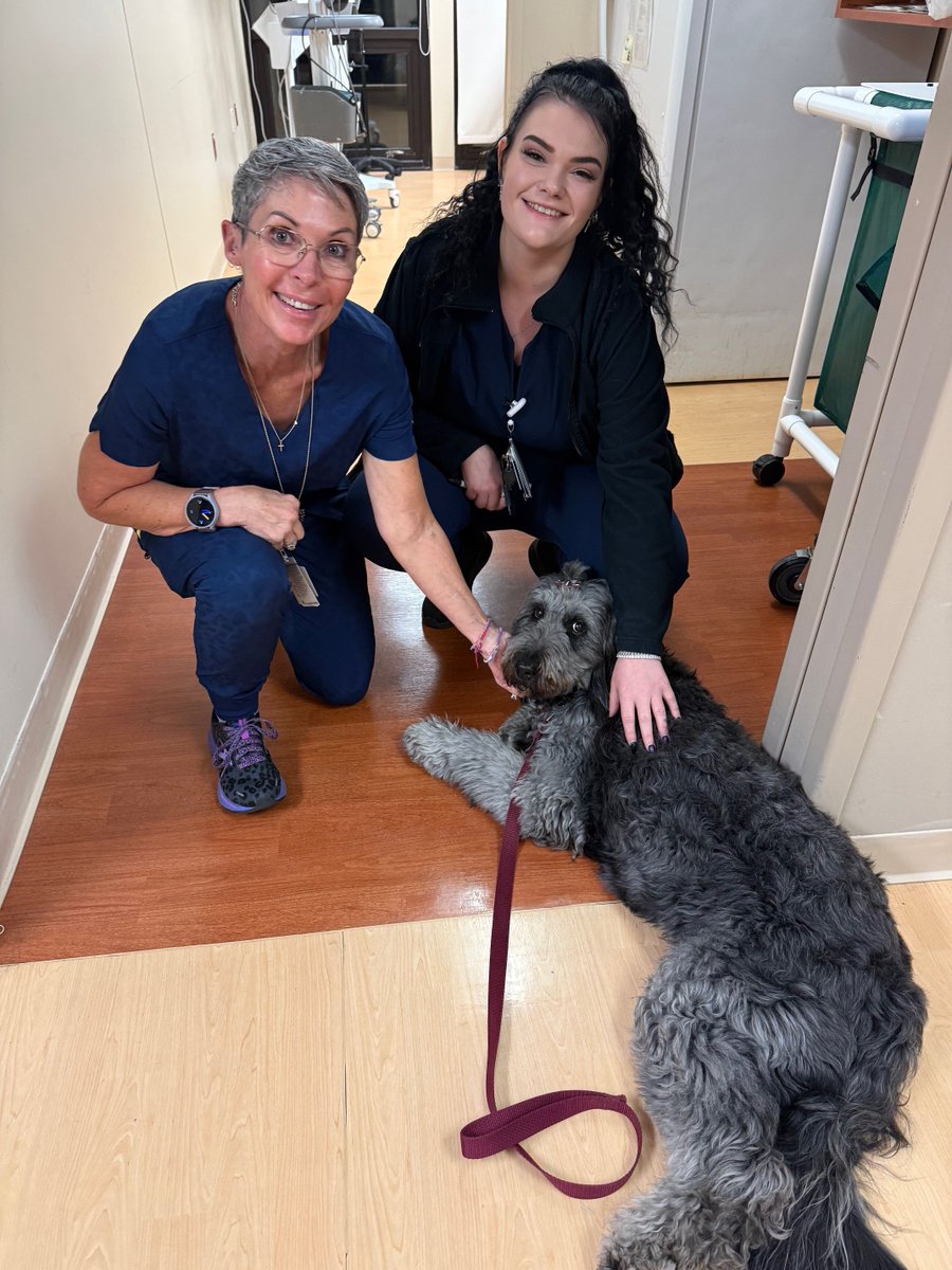 St. Joseph Health tweet media