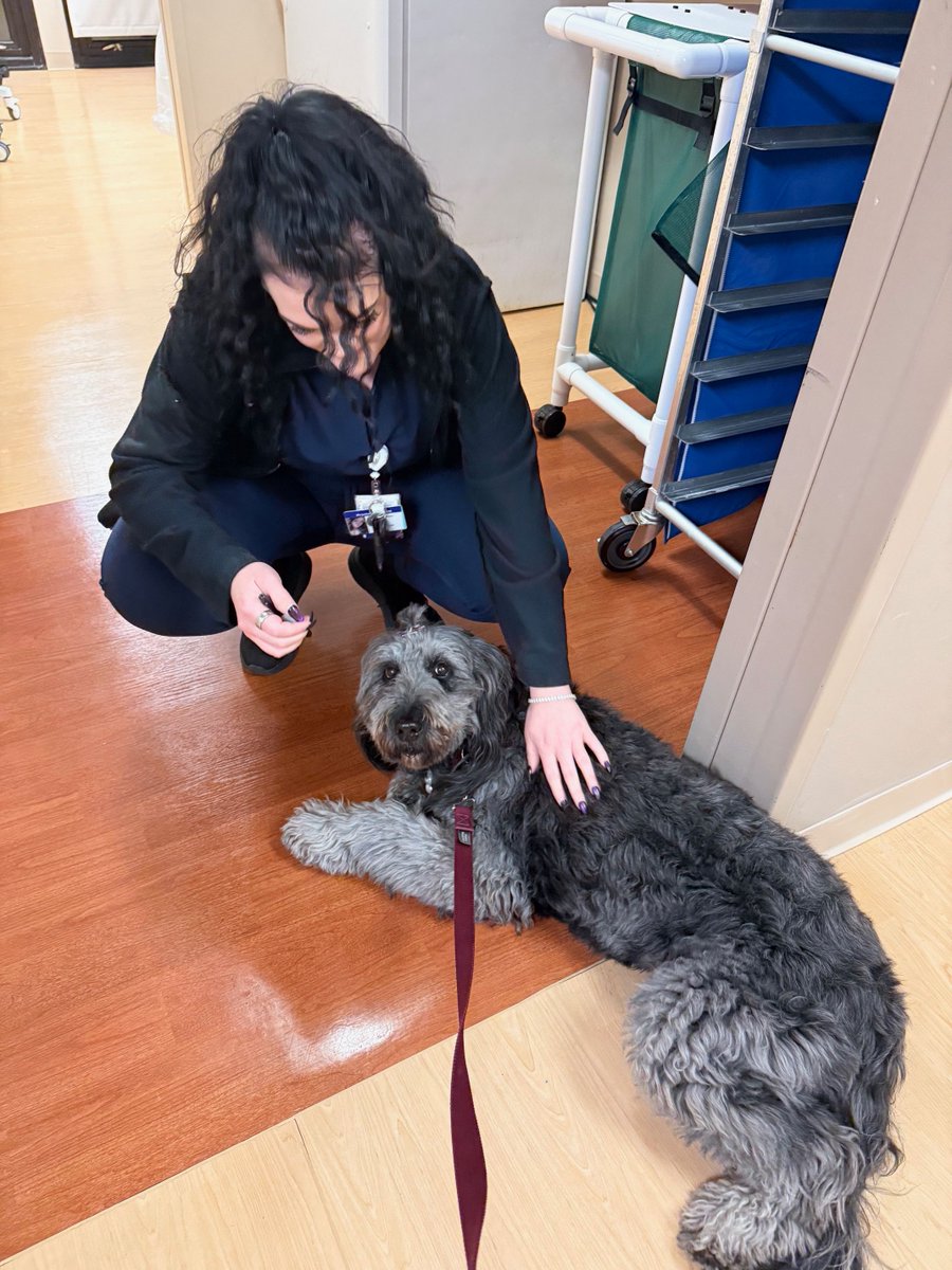 St. Joseph Health tweet media