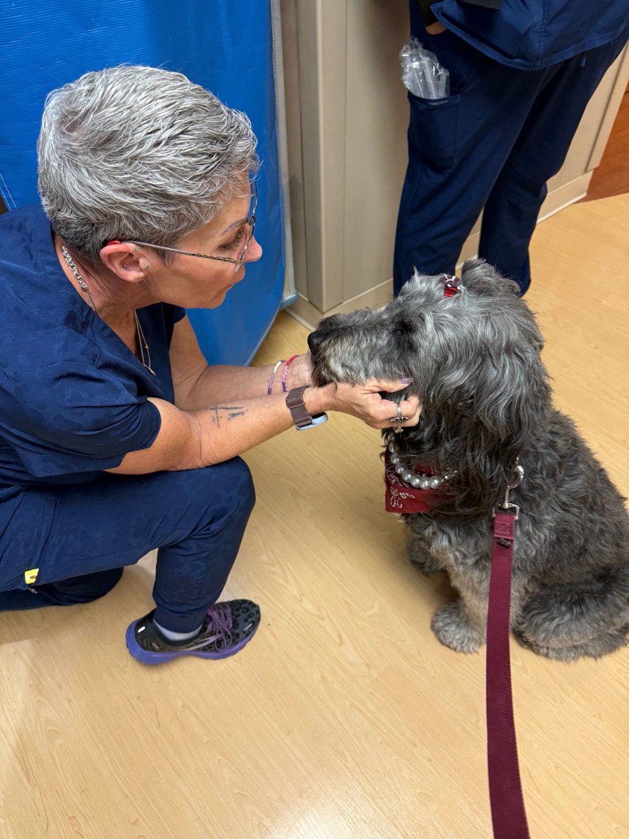 St. Joseph Health tweet media