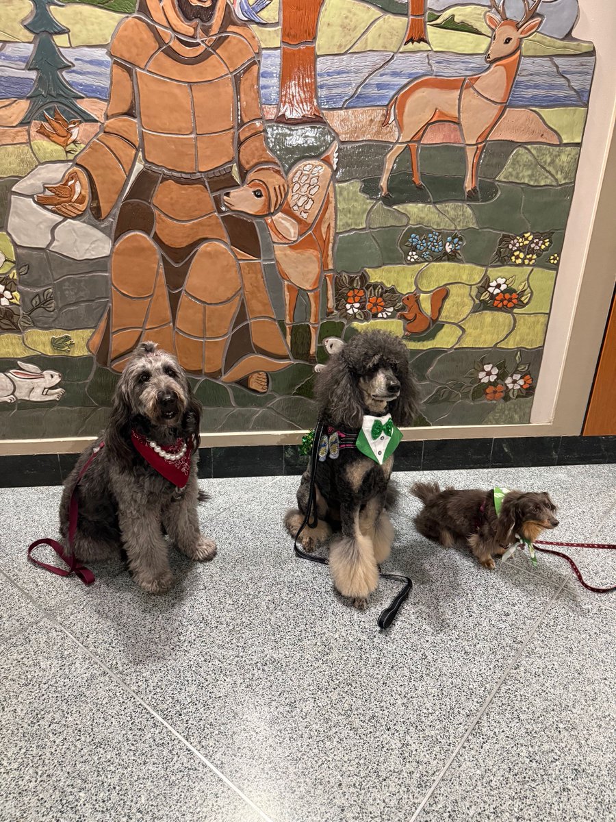 St. Joseph Health tweet media