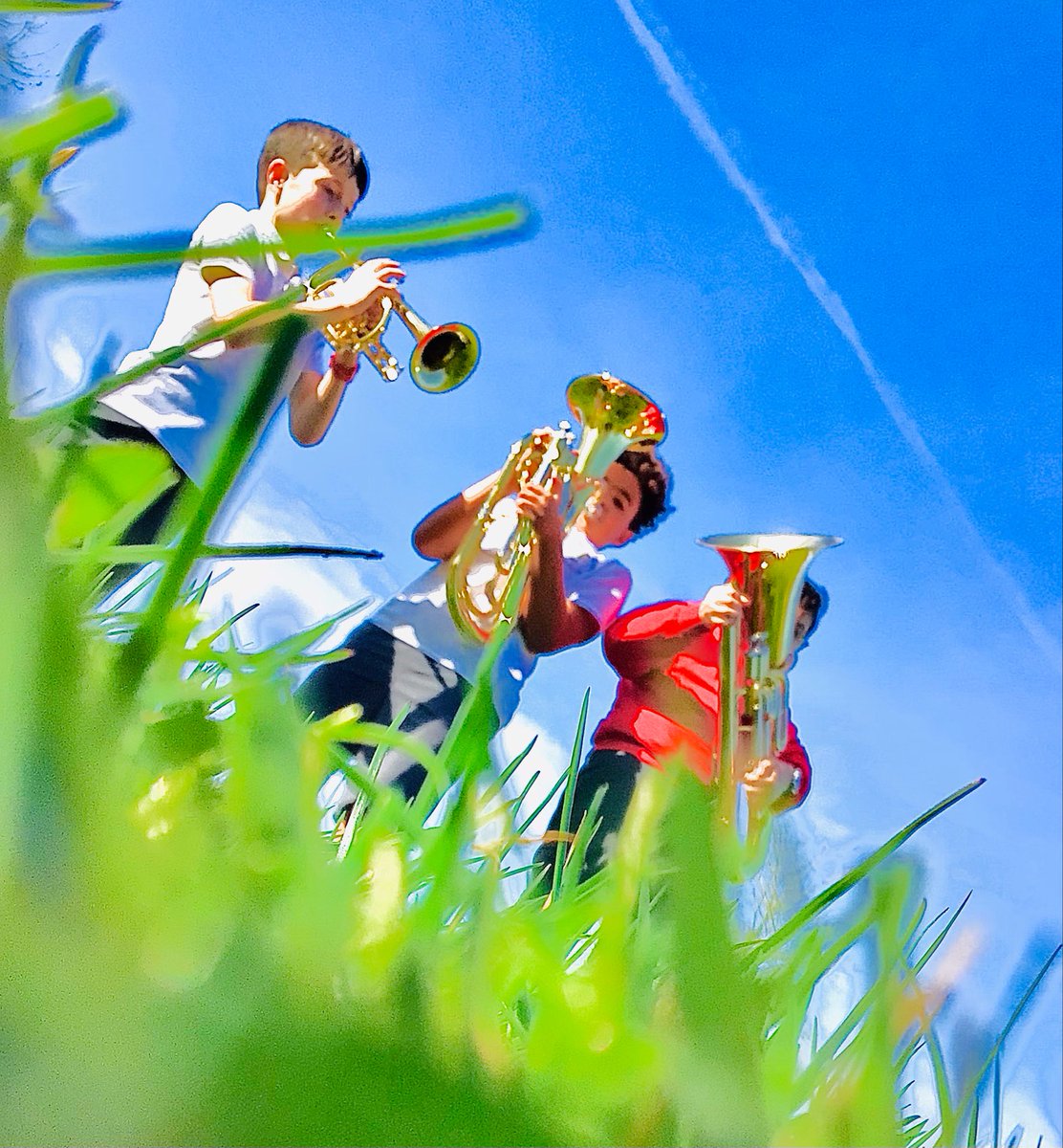 HighLeghPrimary tweet media