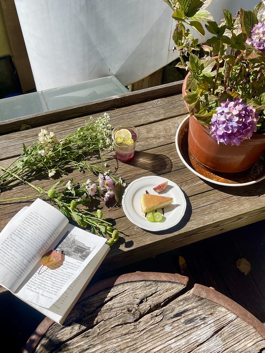 Night Wolf tweet media