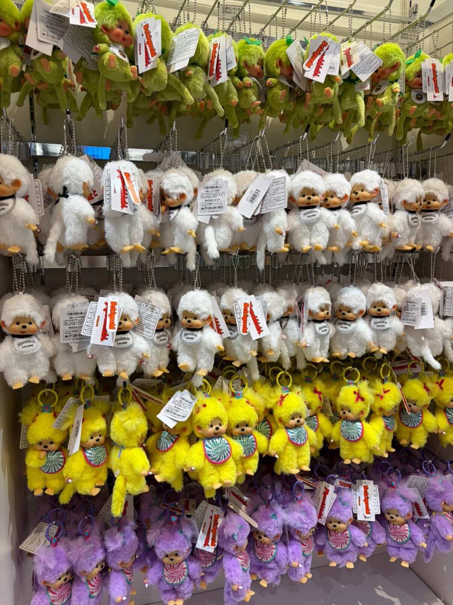 ღ — HANDCARRY JP MARCH tweet media