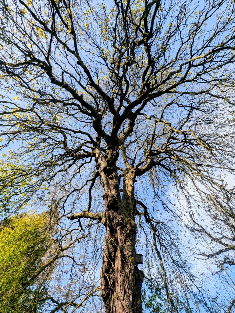 𝔸𝕟𝕕𝕣𝕖𝕨 ℍ𝕒𝕨𝕜𝕚𝕟𝕤 ❤️🌍 tweet media