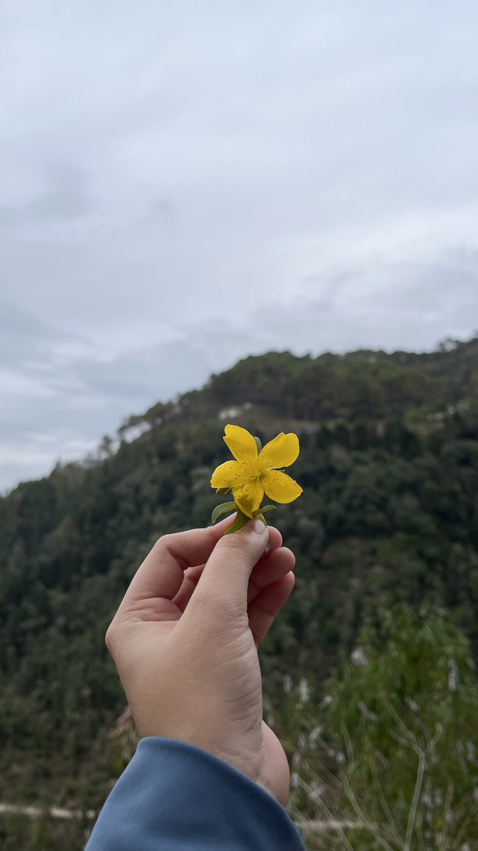 Tanvi 🤸‍♀️ tweet media