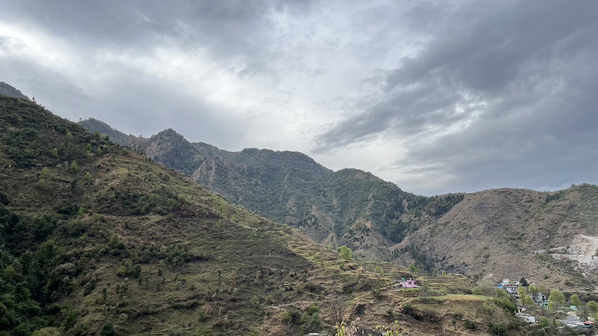 Tanvi 🤸‍♀️ tweet media