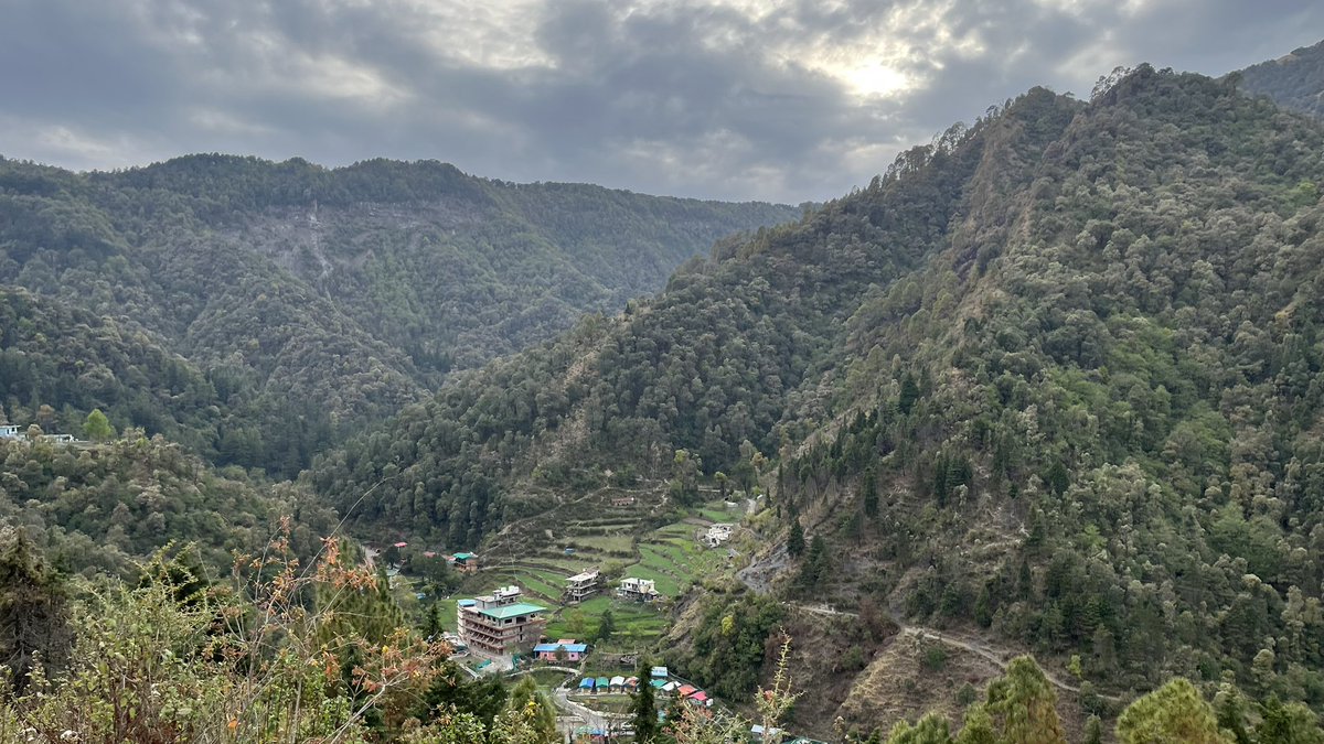 Tanvi 🤸‍♀️ tweet media