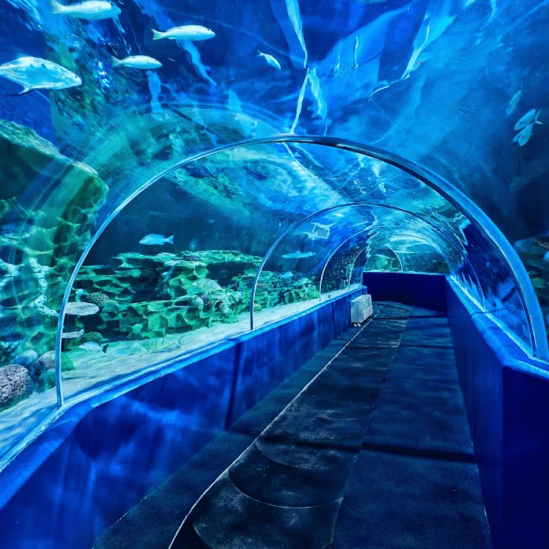 ♬✰ℤ𝕖𝕟𝕞𝕦𝕘𝕙𝕚✰♬ - hosting #ChinmayiBracket tweet media