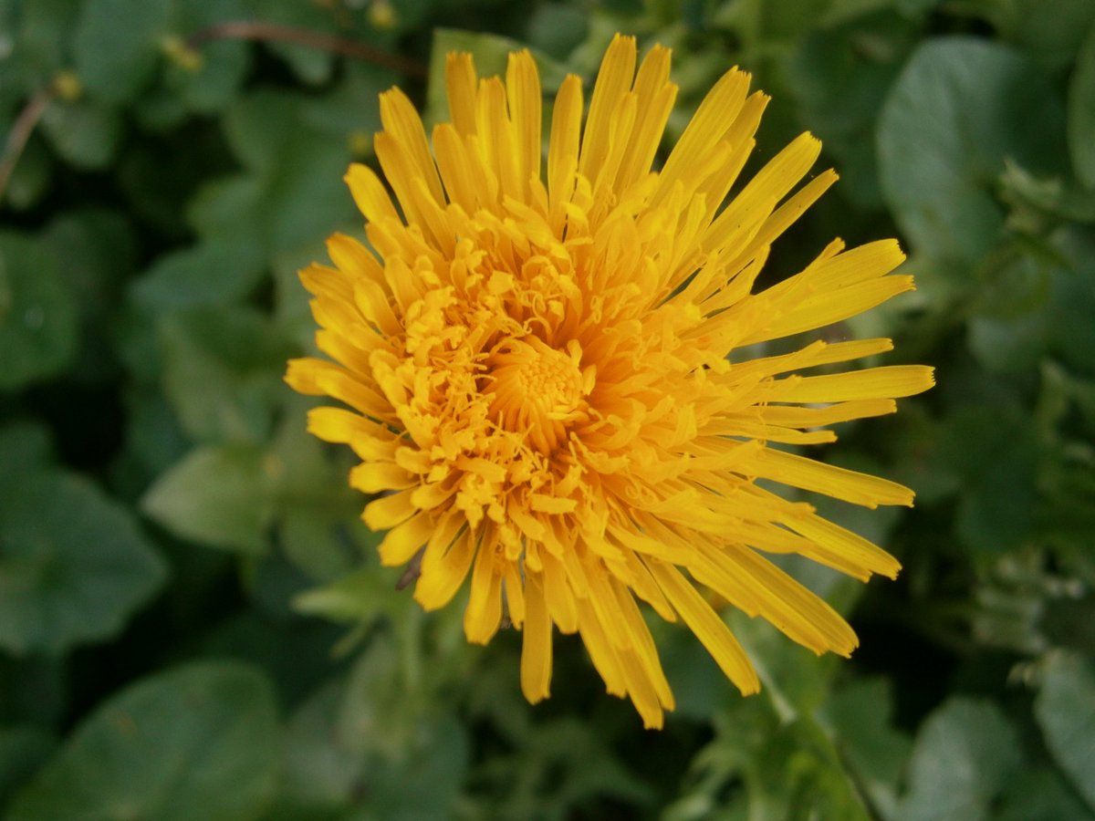 🥷Ninja boy🥷 🍃💚🍃 tweet media