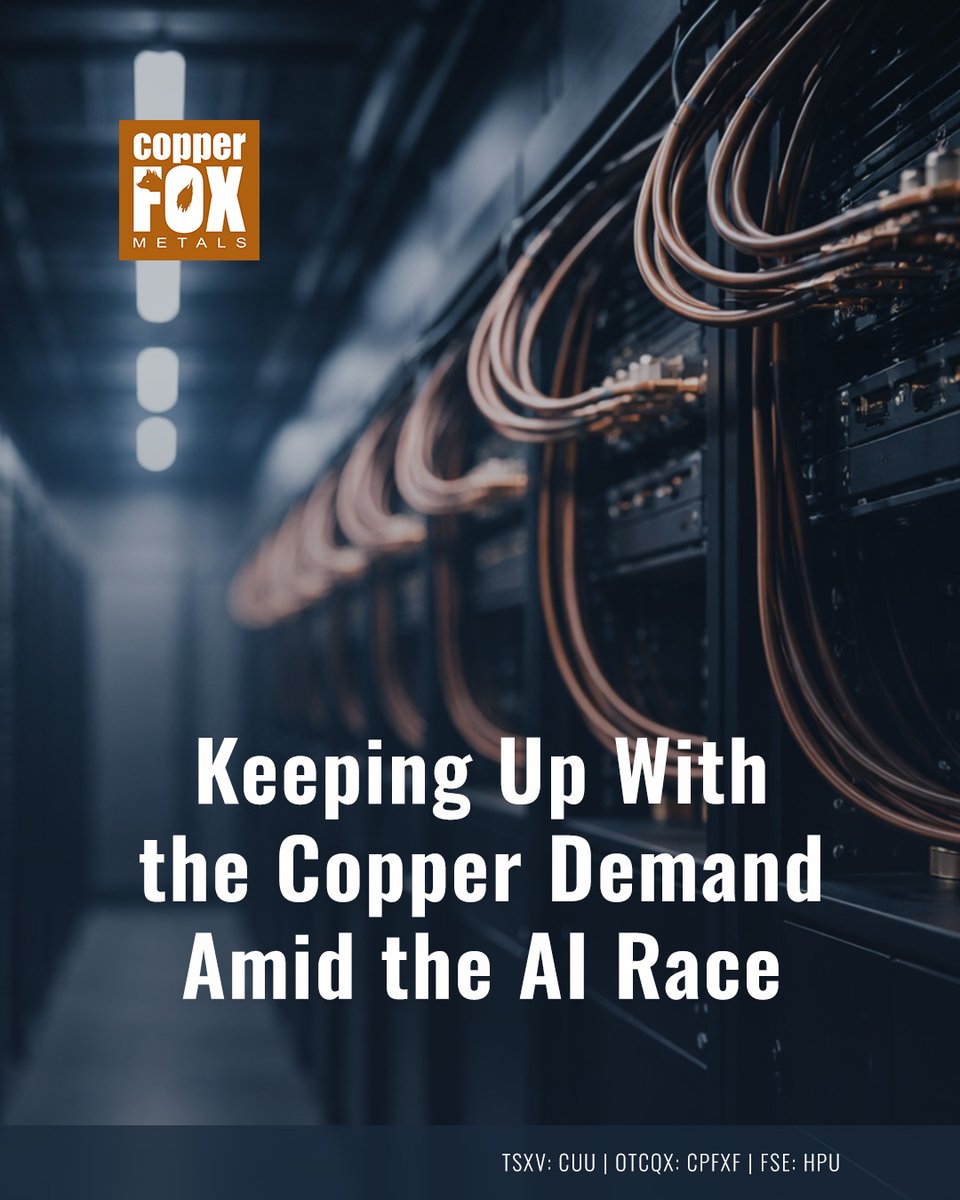 Copper Fox Metals Inc. tweet media