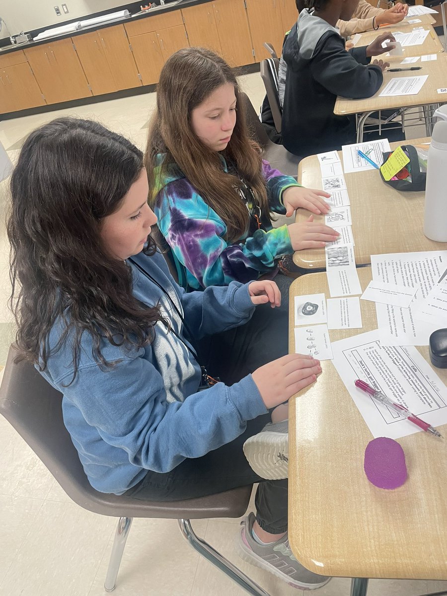 Rodeo Palms Jr. High tweet media