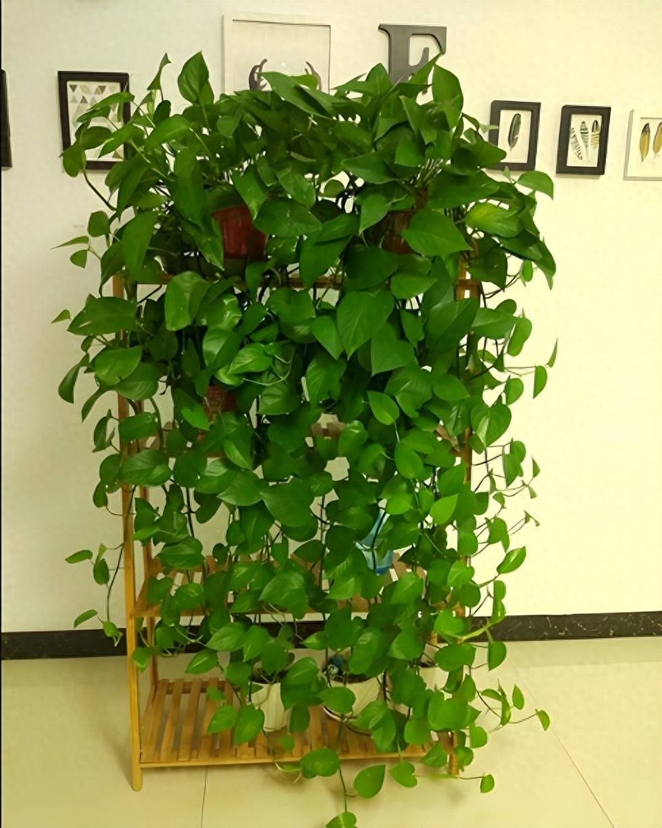 TWEET POLICE tweet media