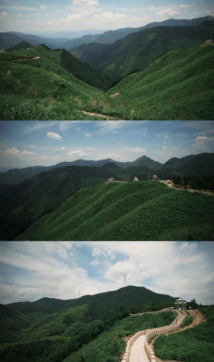 Anthony Tsoflias tweet media