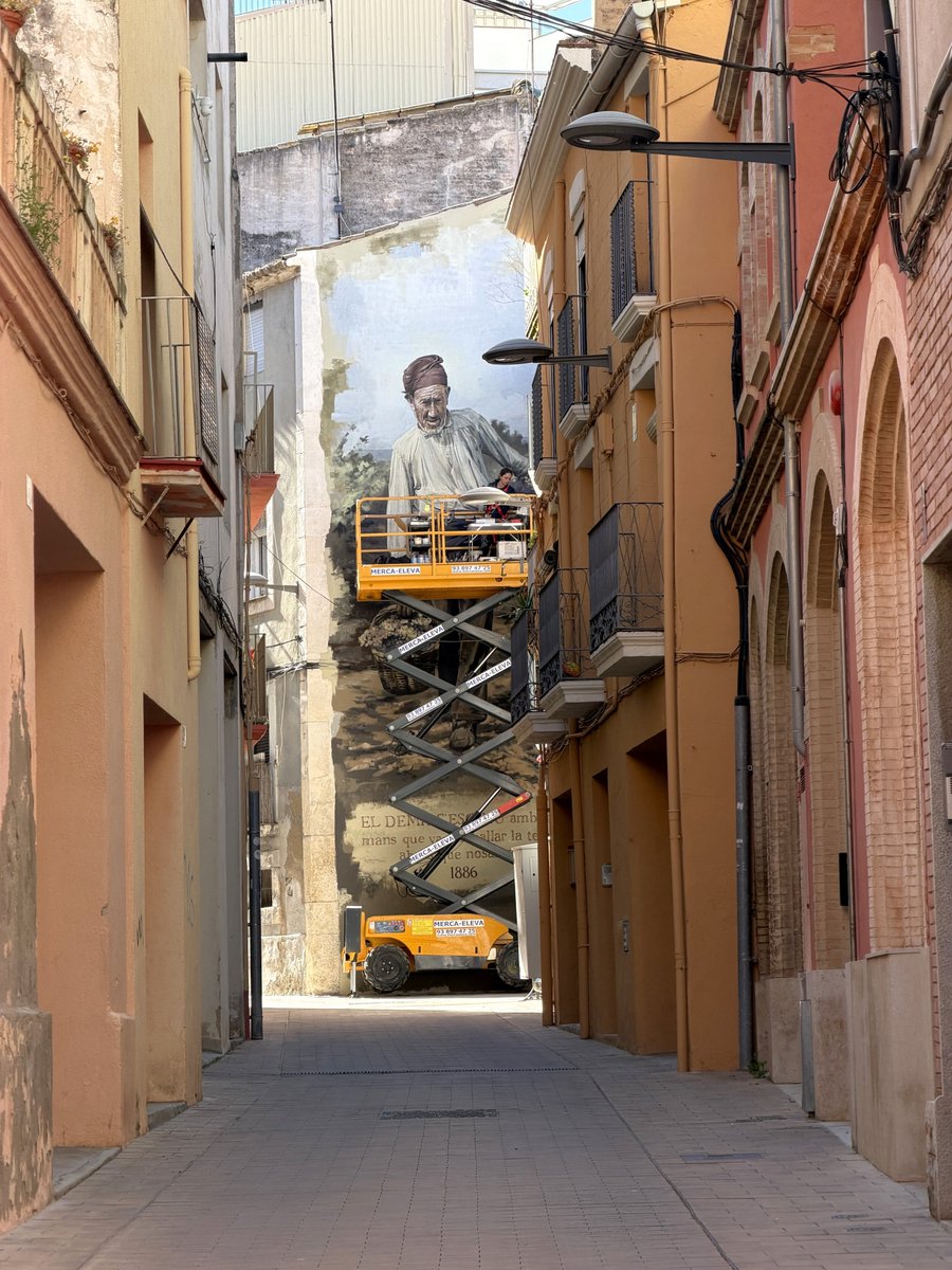 Maria Rosa Ferré Galimany 🌸 tweet media