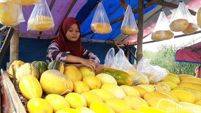 Febri 👻 tweet media