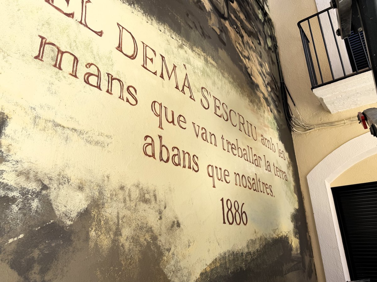 Maria Rosa Ferré Galimany 🌸 tweet media