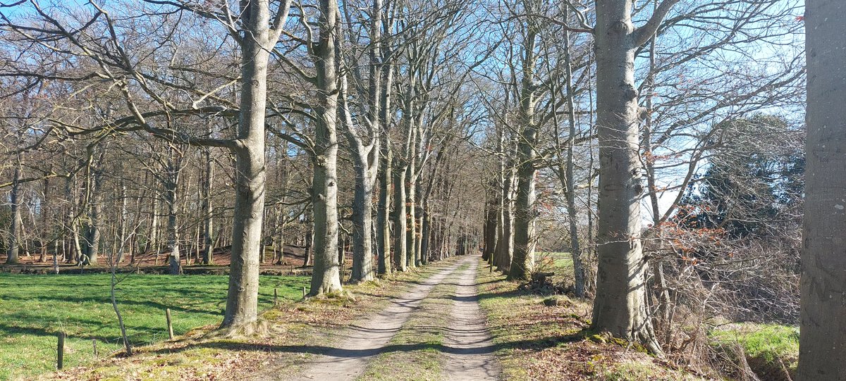 Karin Gibcus🥾🥾 uut Grunn tweet media