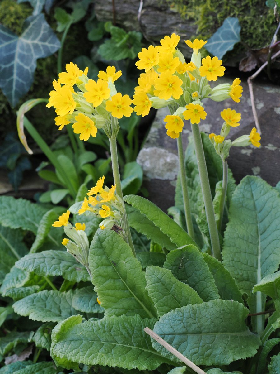 Deena Sharp tweet media