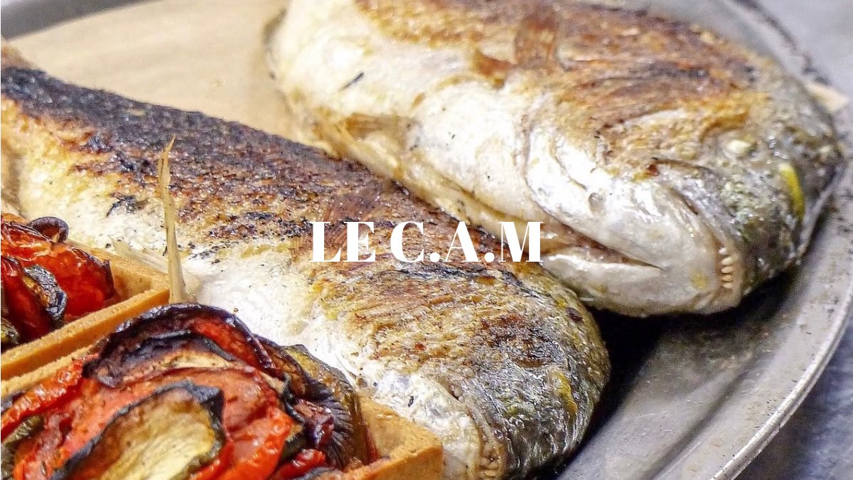 Ichtus Magazine tweet media