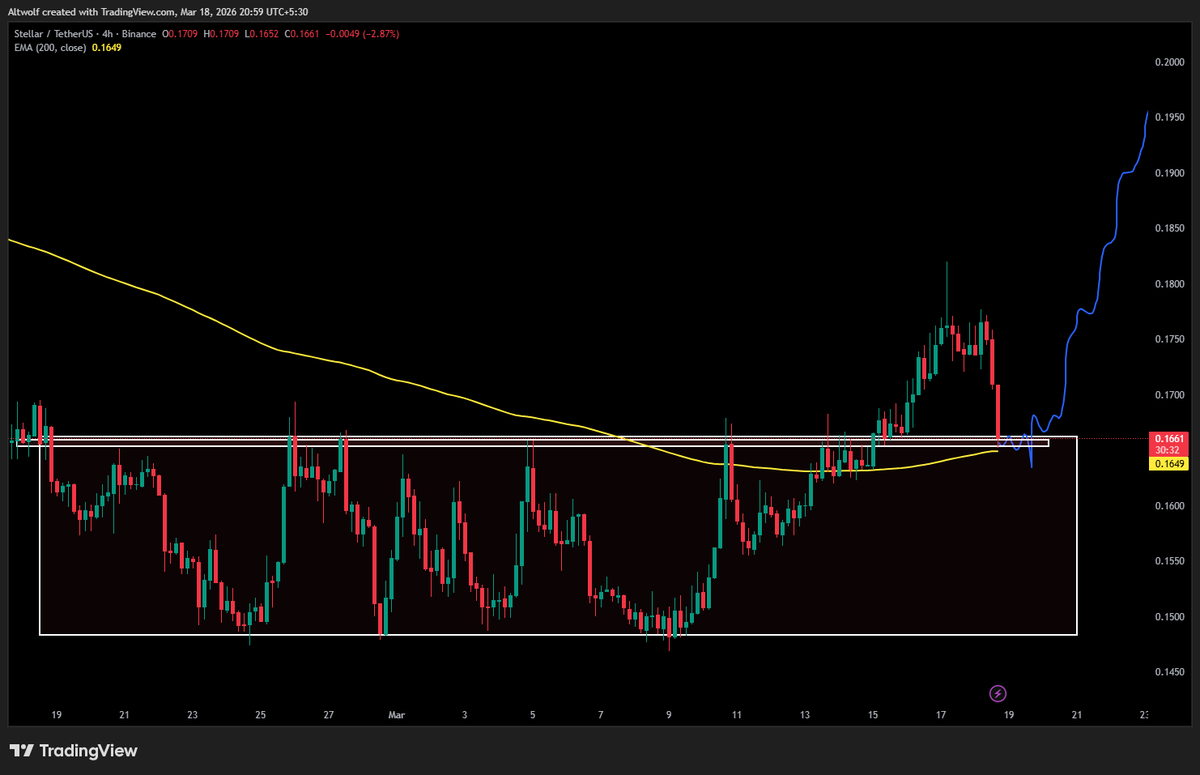 AltWolf🐺 tweet media