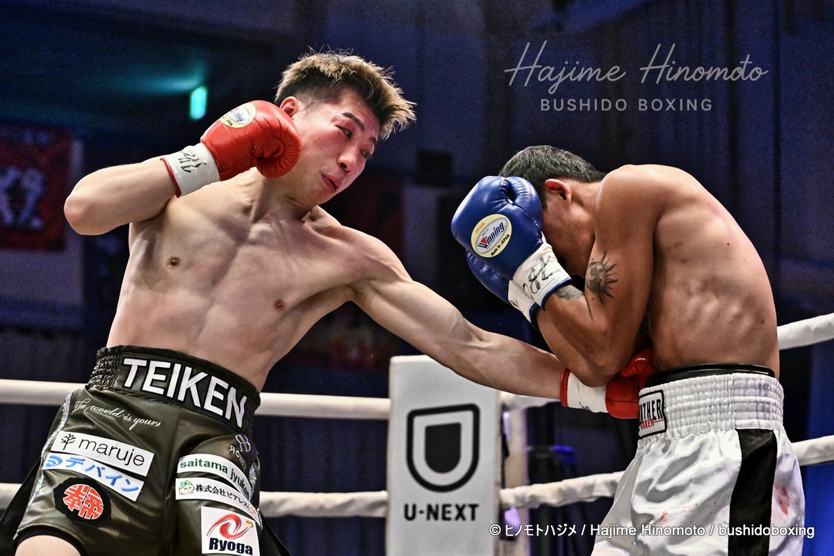 bushidoboxing's tweet photo. 2026.03.12
TREASURE BOXING PROMOTION 11
★Sバンタム級8回戦
アマ75戦59勝16敗
プロ10戦9勝(6KO)1敗(1KO)
インターハイ(Lフライ級)優勝
全国高校選抜 準優勝
◎#福井勝也(29／#駿台学園高→#東洋大→#帝拳)
　4R（1分30秒）TKO
プロ9戦9勝(1KO)
×#ジュニバートバンタイ(#フィリピン) https://t.co/HcWXQpke5c