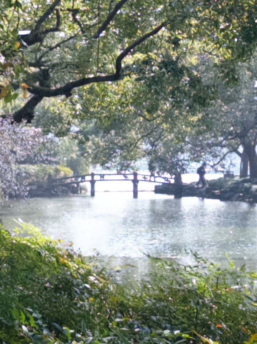 三聲鳴 tweet media