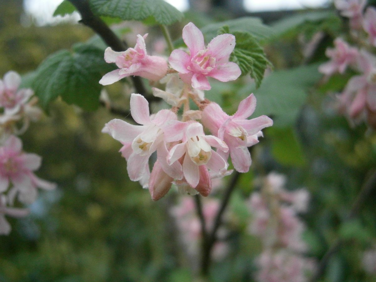🥷Ninja boy🥷 🍃💚🍃 tweet media