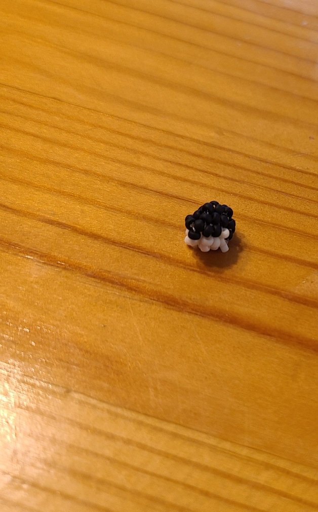 すもと tweet media