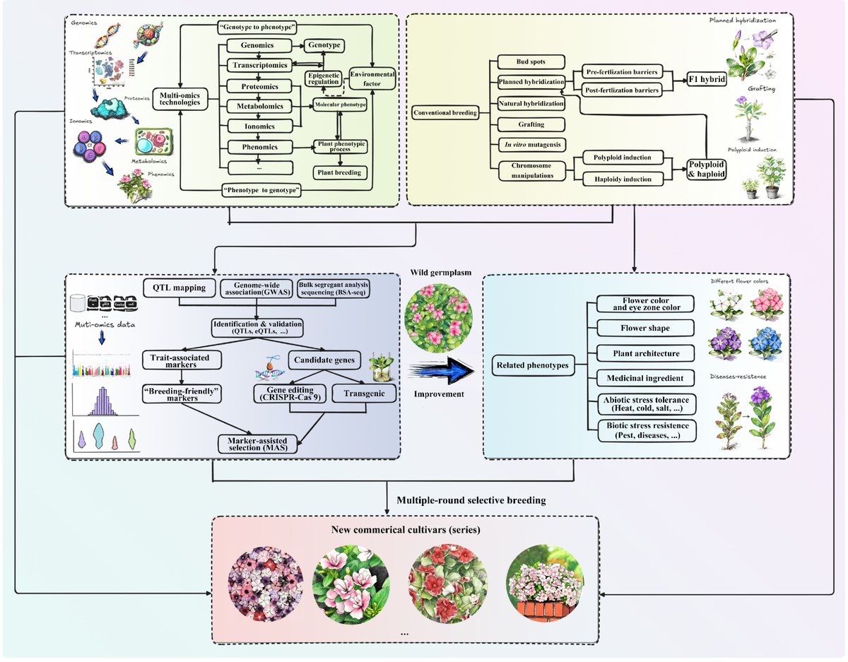Maximum Academic tweet media