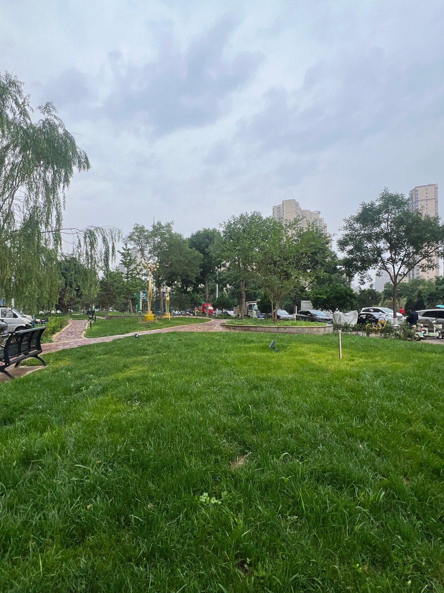 Ali Kais tweet media