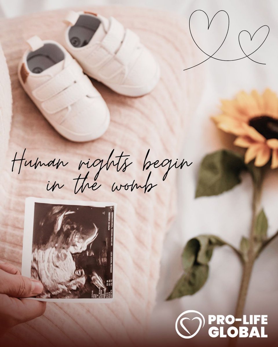 ProLifeGlobal's tweet photo. From the moment of conception, a distinct human life begins, worthy of dignity and deserving of human rights, even in the womb.

#LifeBeginsAtConception #prolife #ChooseLife #LifeIsPrecious #EveryLifeMatters #DefendLife #SanctityOfLife #CreatedWithPurpose #HumanRightsForAll https://t.co/XncSG0iPUs