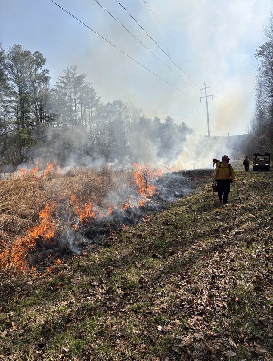 Tennessee Valley Authority tweet media