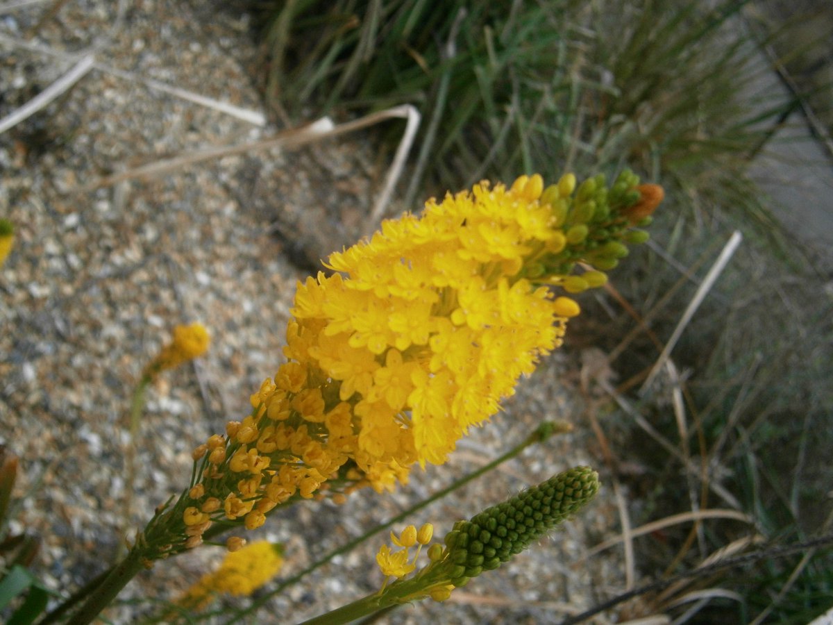 🥷Ninja boy🥷 🍃💚🍃 tweet media